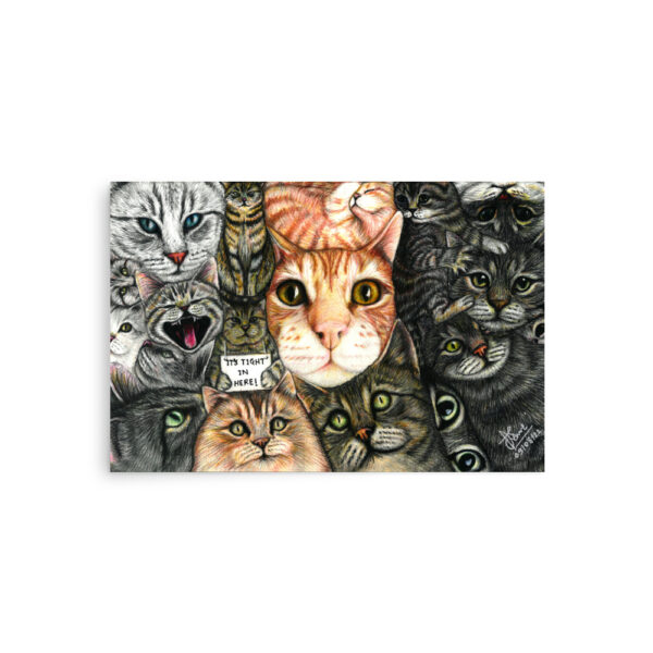 Lots of Cats - Image 2