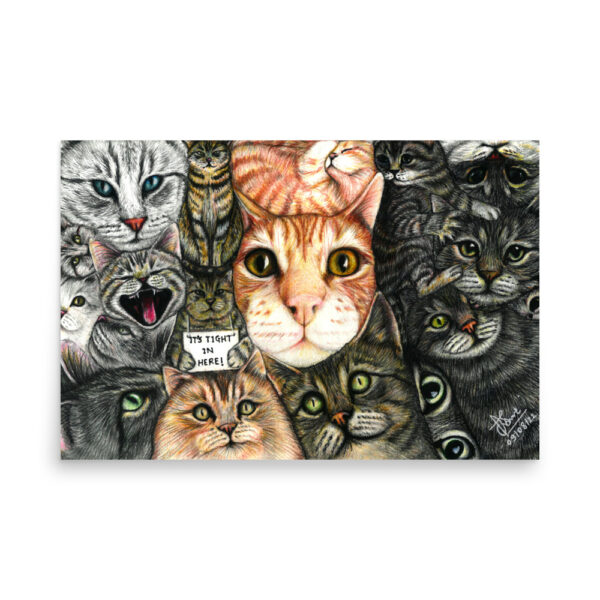 Lots of Cats - Image 3